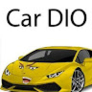 Meet your Posher, Car dio